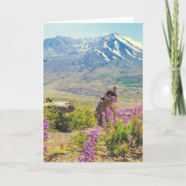 Mt. St. Helens Helgkort