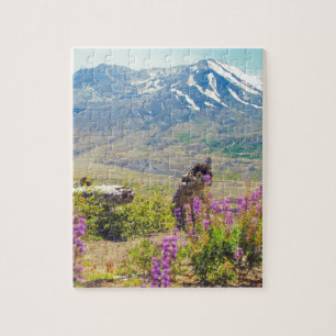 Mt. St Helens Pussel
