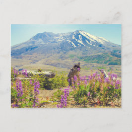 Mt. St. Helens Vykort