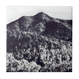 Mt Tamalpais Ceramic Tile Kakelplatta