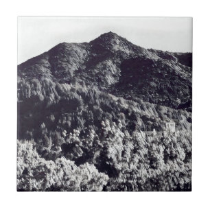 Mt Tamalpais Ceramic Tile Kakelplatta
