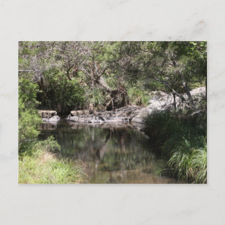 Mt Tamborine #3 Vykort