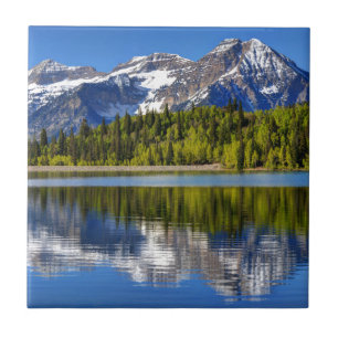 Mt. Timpanogos reflekterad i silver sjölägenhet Kakelplatta