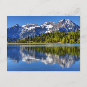 Mt. Timpanogos reflekterade i plattan Silver Sjö Vykort
