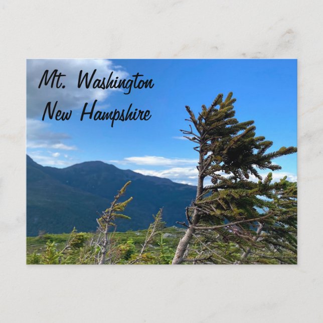Mt. Washington, NH Postcard Vykort (Framsida)