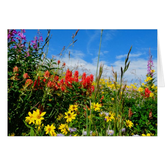 Mt. Wildblommor Hälsningskort (Framsidan Horizontal)
