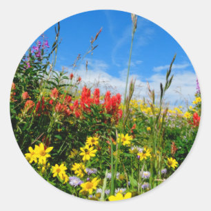 Mt. Wildblommor Runt Klistermärke