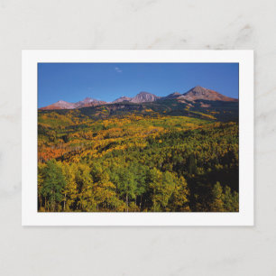 "Mt. Wilson - Aspen Träd Valley" Vykort
