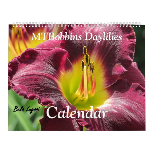 MTBobbins Daylilies - med namn - stor kalender (Omslag)