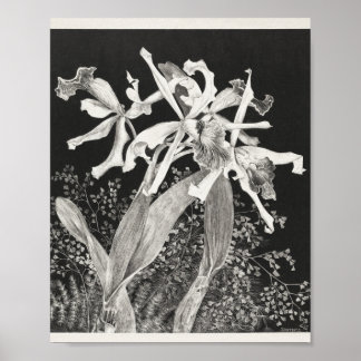 Mtheo van hoytema - kalender - hägringskonst - ack poster