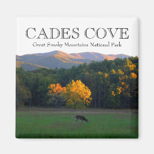 Mtns för cove för cades för hösthjortdjurliv magnet