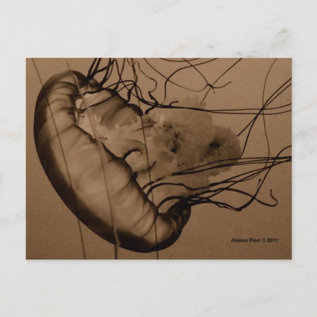 MTV 3 VYKORT (Framsida)