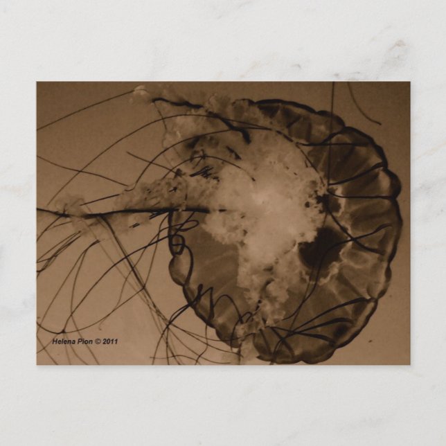 MTV 4 VYKORT (Framsida)