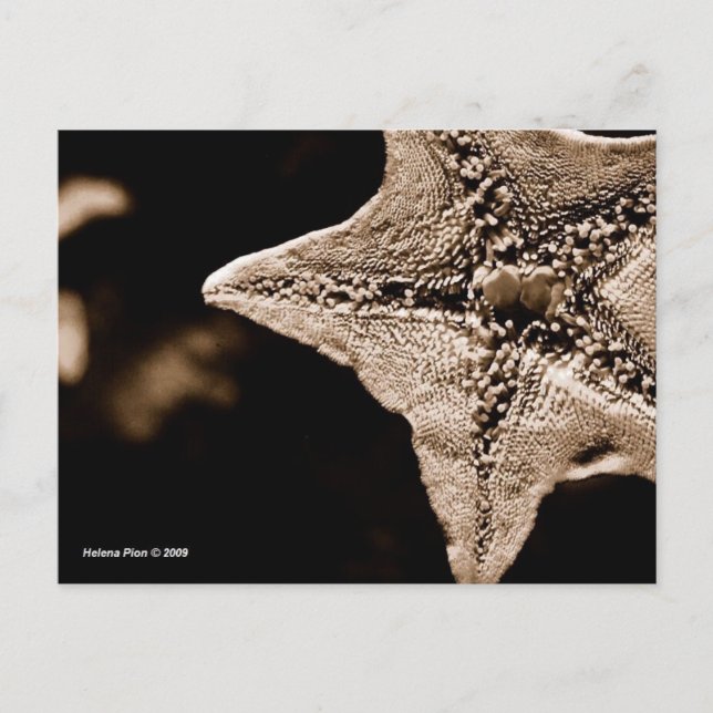 MTV 7 VYKORT (Framsida)