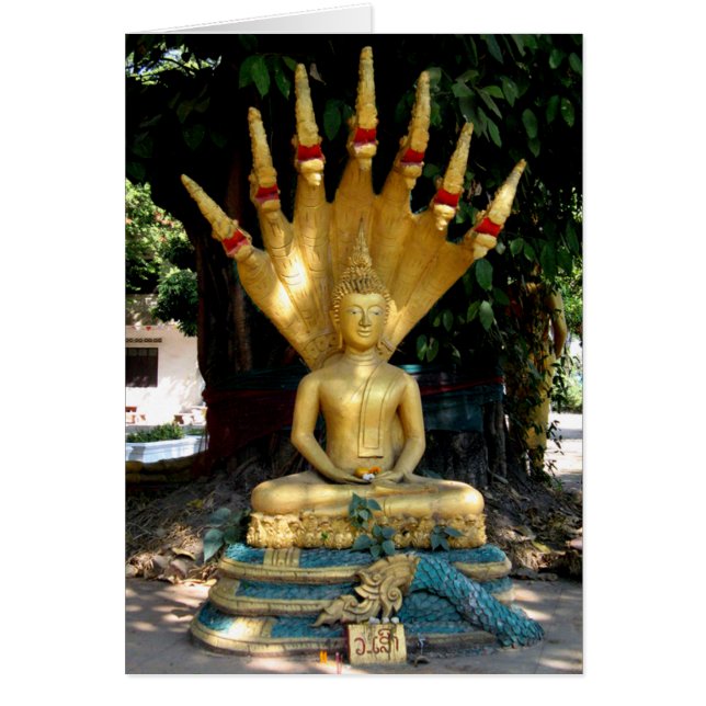 Mucalinda-kort Hälsningskort (Framsidan)