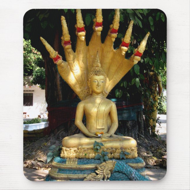 Mucalinda Musmatta (Framsidan)