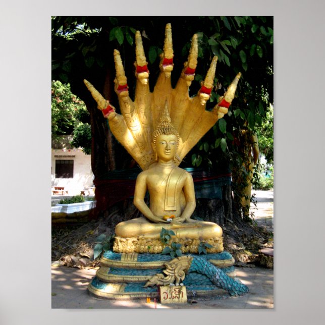 Mucalinda Poster (Framsidan)