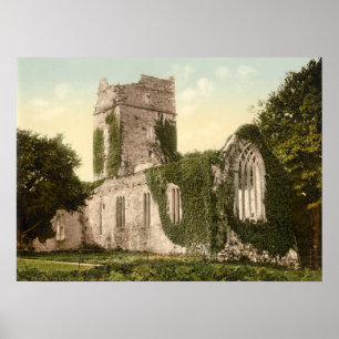 Muckross Abbey, Killarney, ståndsmässiga Kerry Poster