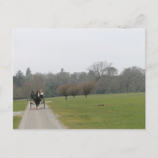 Muckross hus, Killarney Irland Vykort