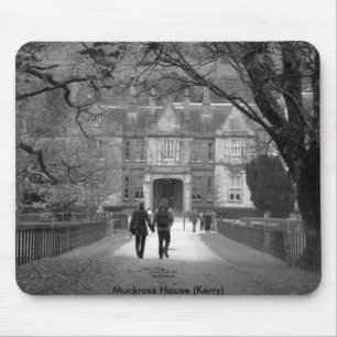 Muckross hus musmatta