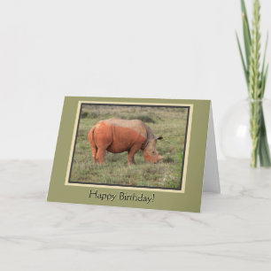 Muddy Rhino Grattis på födelsedagen Kort