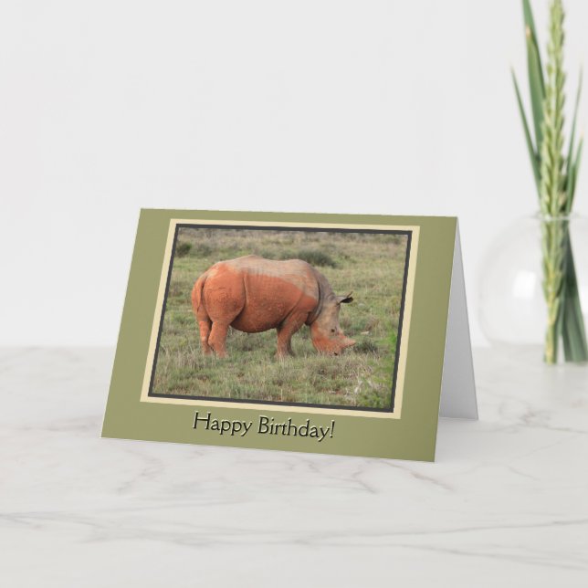 Muddy Rhino Grattis på födelsedagen Kort (Framsida)