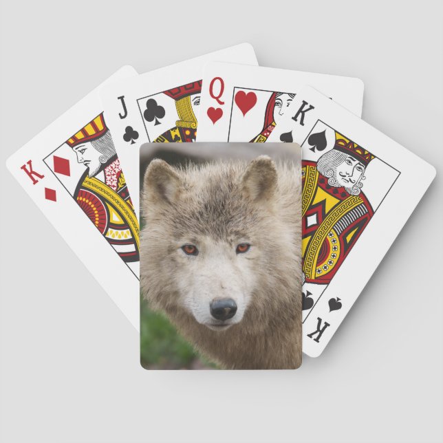 Muddy White Varg Casinokort (Baksidan)