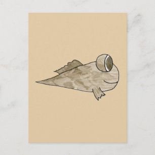 Mudskipper Fish. Vykort