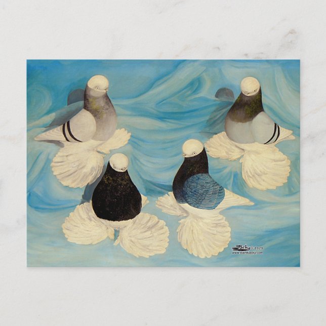 Muffade Tumblers Fyra Vykort (Framsida)