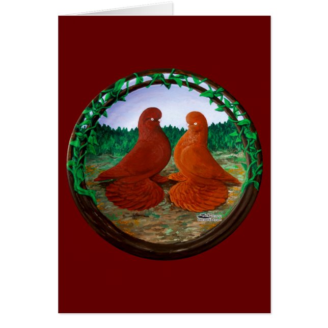 Muffed Tumbler Pigeons2 OBS Kort (Framsidan)