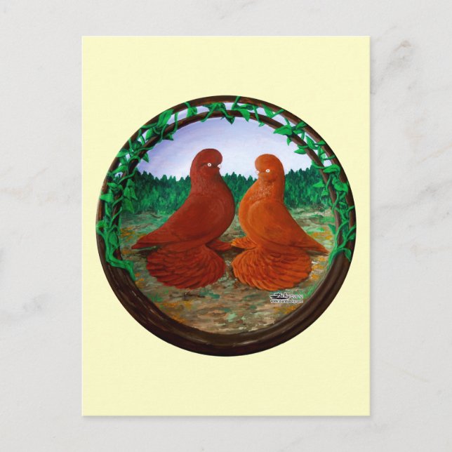 Muffed Tumbler Pigeons2 Vykort (Framsida)