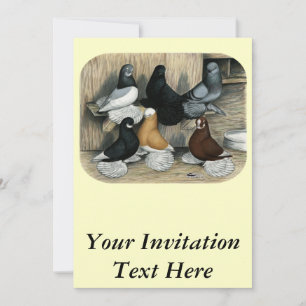 Muffed Tumbler Pigeons Inbjudningar