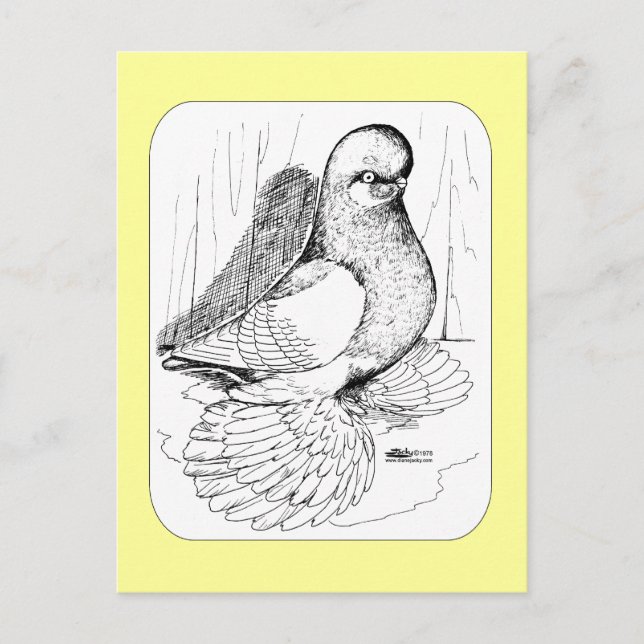 Muffed Tumbler Saddle 1978 Vykort (Framsida)