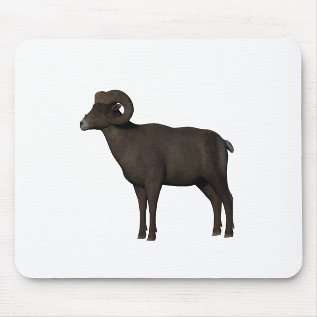 Muffel Musmatta (Framsidan)