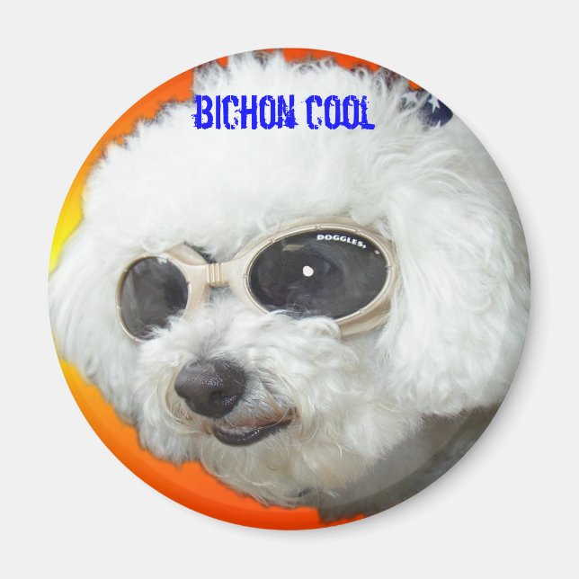Muffet doggles orig, bichon coola magnet (Framsidan)