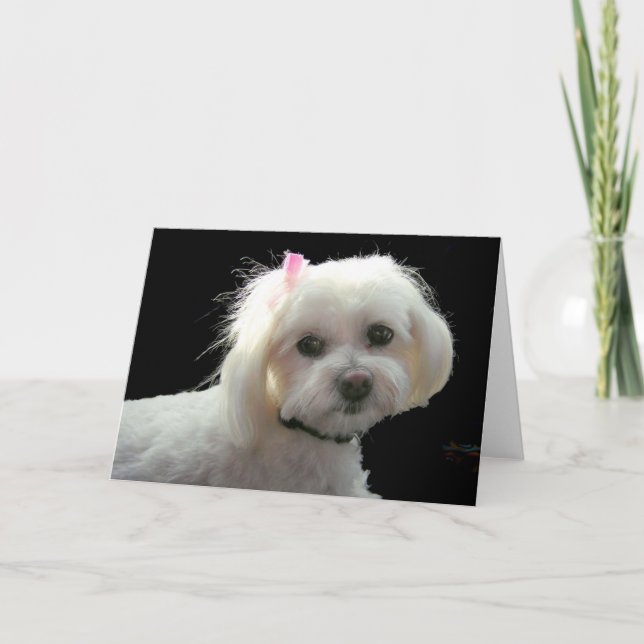 Muffys rosapilbåge kort (Framsida)