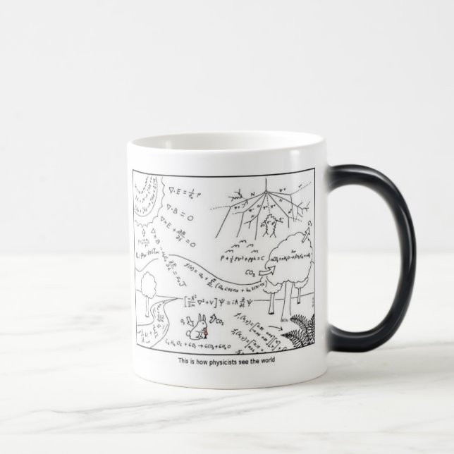 Mug physicists see the world [LEFT HANDED] Magisk Mugg (Höger)