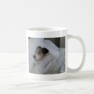 Mugg