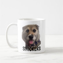 Mugg