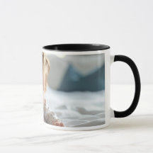 Mugg