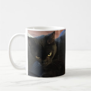Mugg