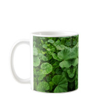 mugg