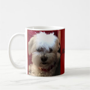 Mugg