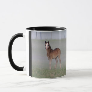 Mugg
