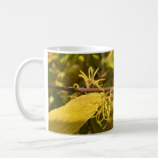 Mugg