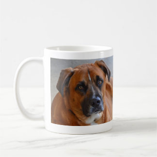 mugg - Baxter