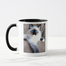 Mugg cat