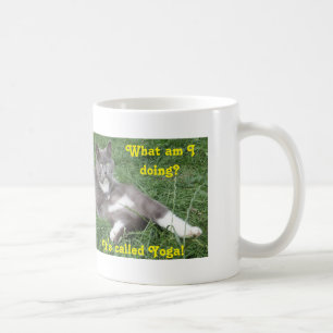 Mugg Cat Yoga