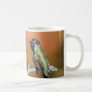Mugg: Costa's Hummingbird #5 (klassisk) Kaffemugg