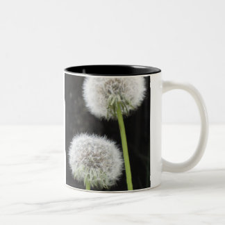 Mugg - Dandelions